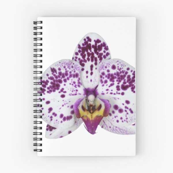 Item preview, spotted purple orchid flower sticker designed and sold by inainart.