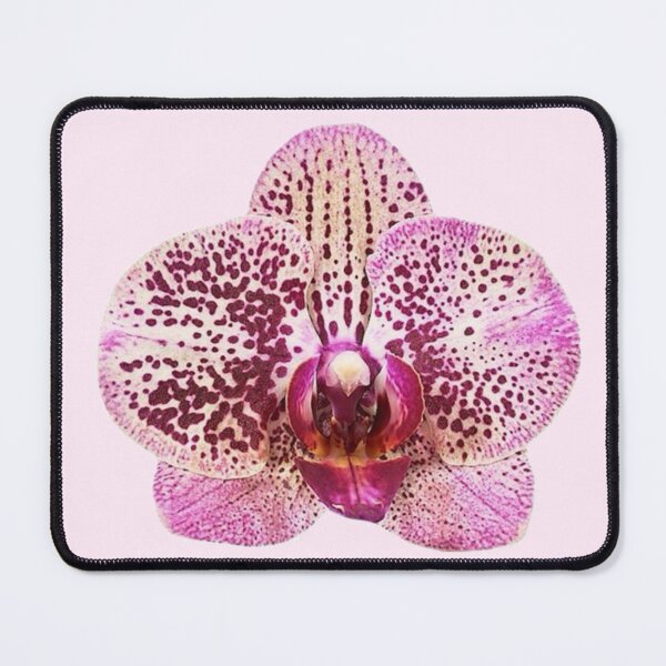 Item preview, spotted pink orchid flower sticker designed and sold by inainart.