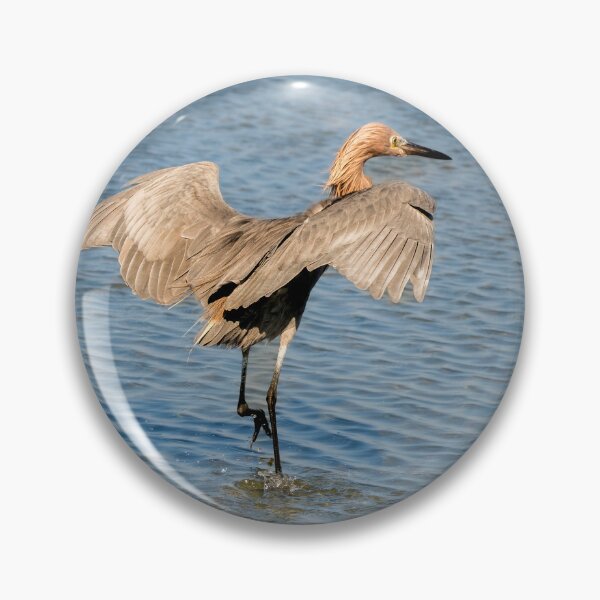 Item preview, Reddish Egret Dancing for Fish designed and sold by Debra Martz.