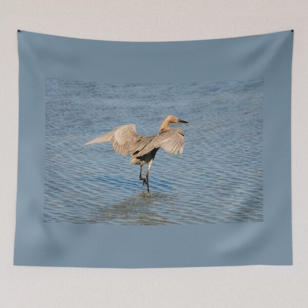 Item preview, Reddish Egret Dancing for Fish designed and sold by Debra Martz.