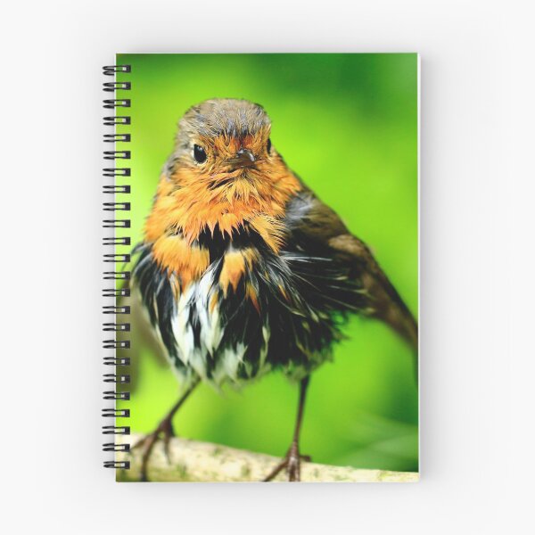 Item preview, Robin Bathtime designed and sold by ejcwildart.