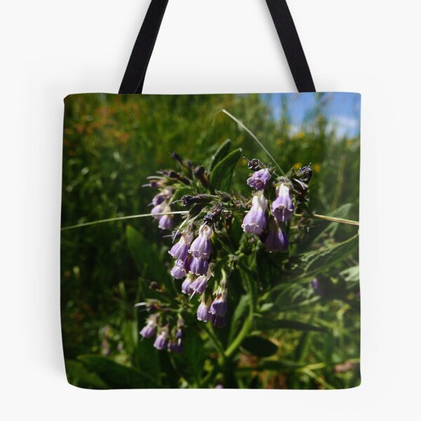 Item preview, Russian Comfrey (Symphytum x uplandicum) designed and sold by IOMWildFlowers.