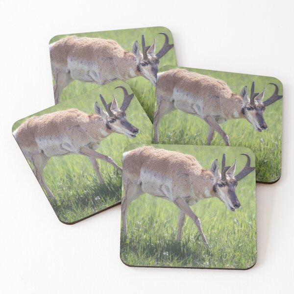 Item preview, Pronghorn Grand Teton NP Wyoming designed and sold by PhotoArt by Joan Carroll.