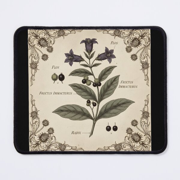 Item preview, Nightshade Study — Antique Botanical Illustration of Poison and Beauty designed and sold by Mouraludia.