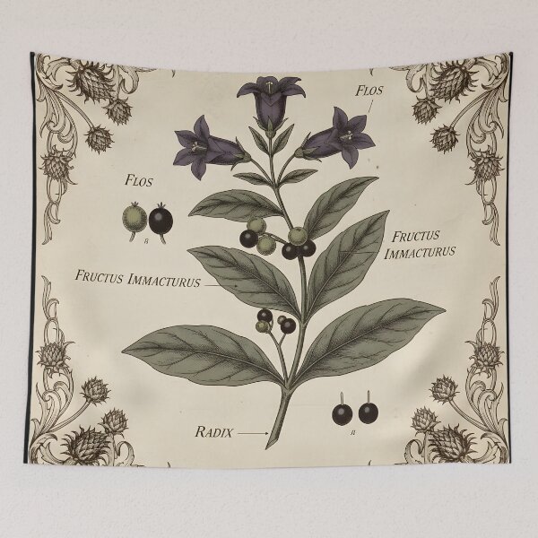 Item preview, Nightshade Study — Antique Botanical Illustration of Poison and Beauty designed and sold by Mouraludia.