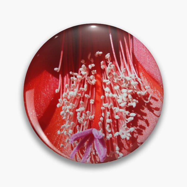 Item preview, Red Cactus Flower Bloom - Magpie Springs Nature designed and sold by MagpieSprings.
