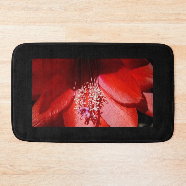 Item preview, Red Cactus Flower Bloom - Magpie Springs Nature designed and sold by MagpieSprings.