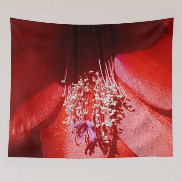Item preview, Red Cactus Flower Bloom - Magpie Springs Nature designed and sold by MagpieSprings.