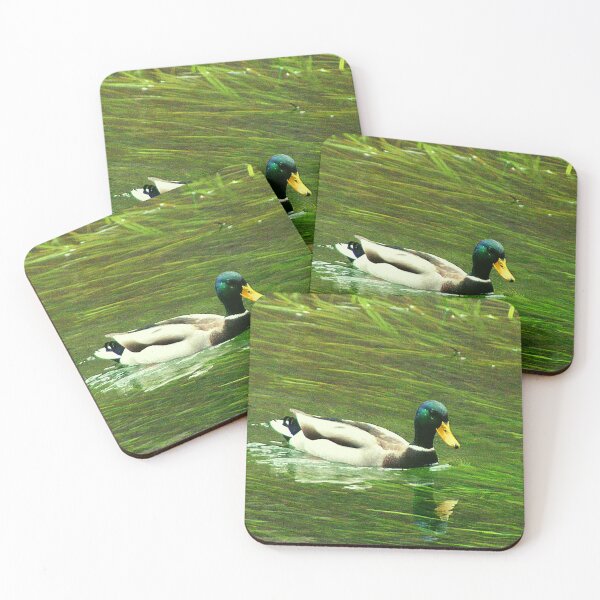 Item preview, Mallard Duck Swimming In The Lake designed and sold by Lovemountain.