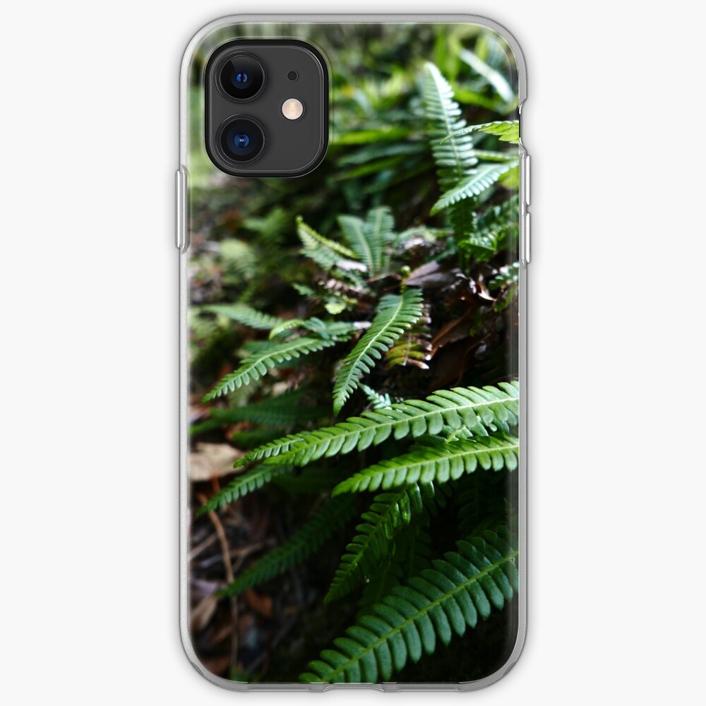 Hard Fern (Blechnum spicant) iPhone Case & Cover