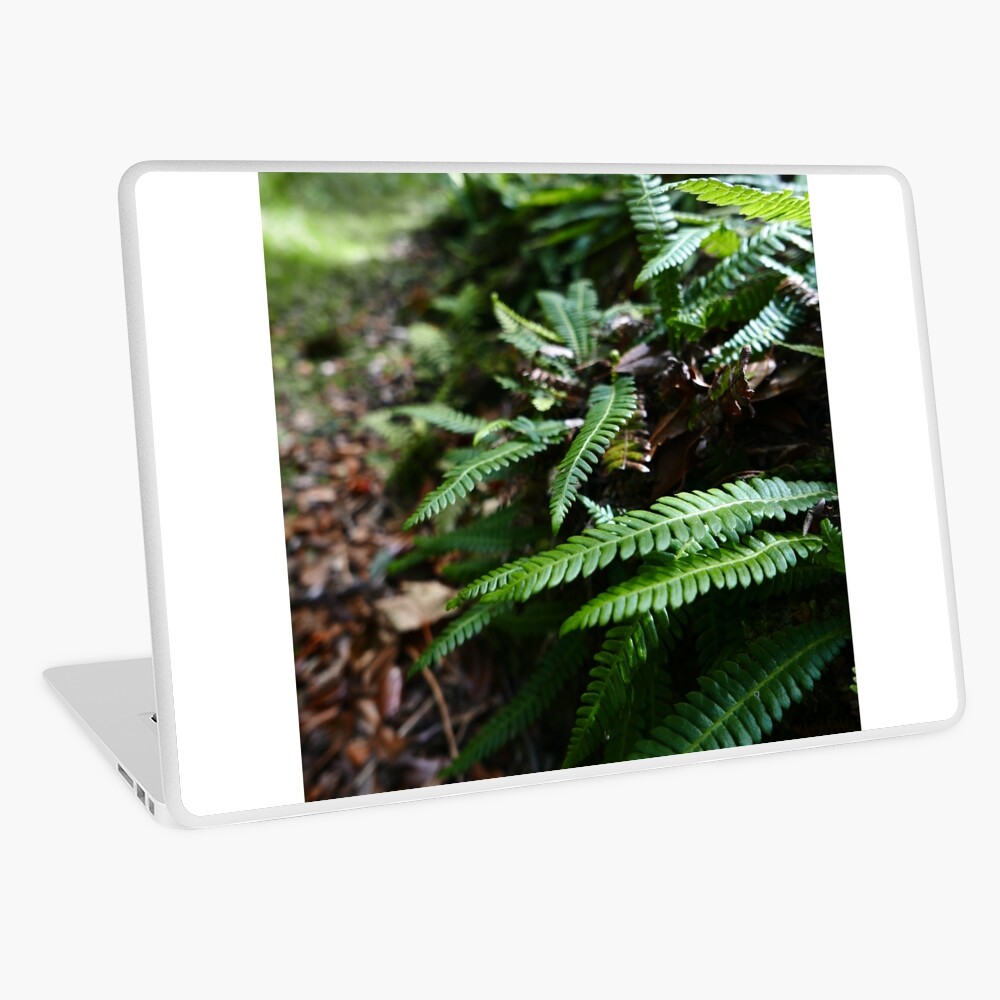 Hard Fern (Blechnum spicant) Laptop Skin