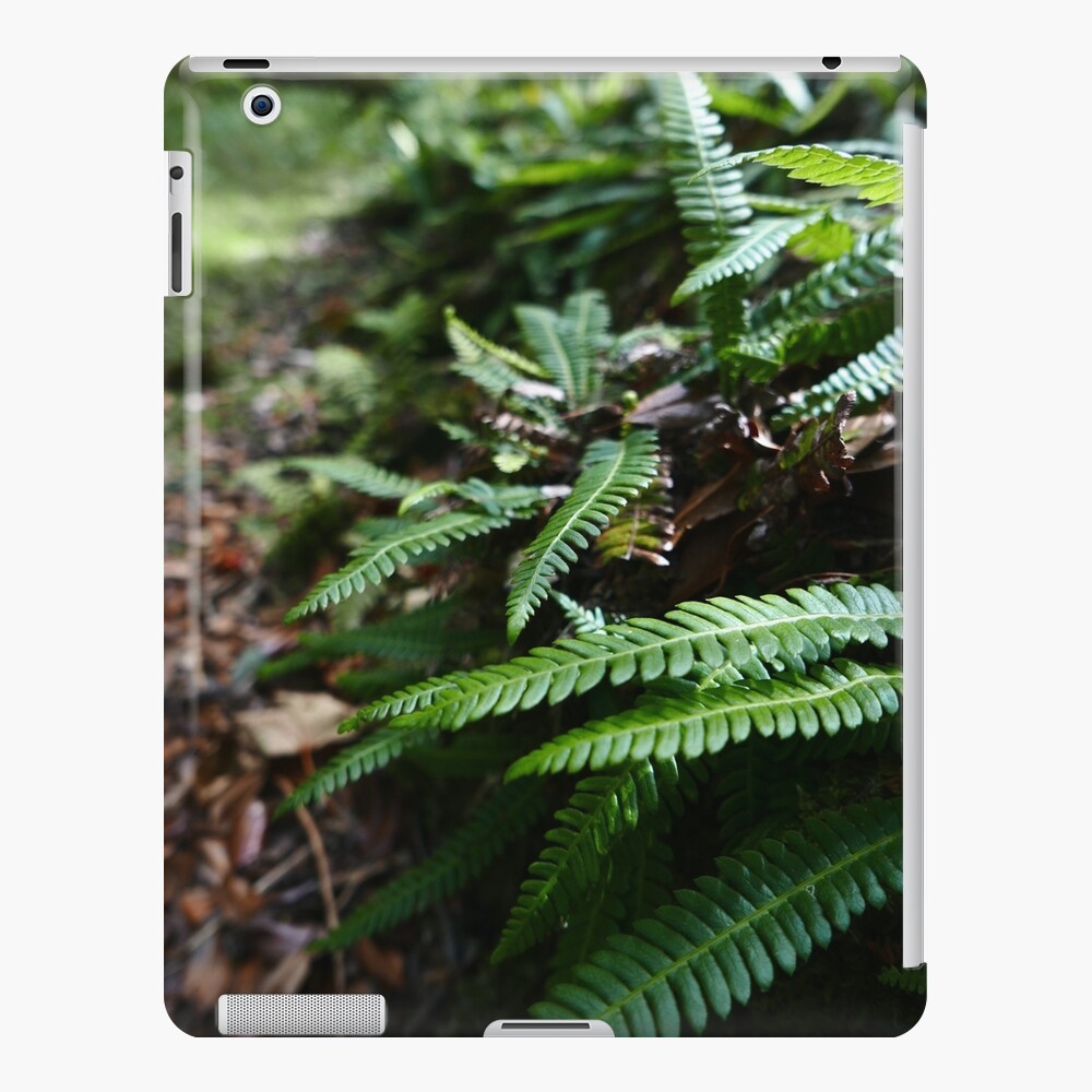 Hard Fern (Blechnum spicant) iPad Case & Skin