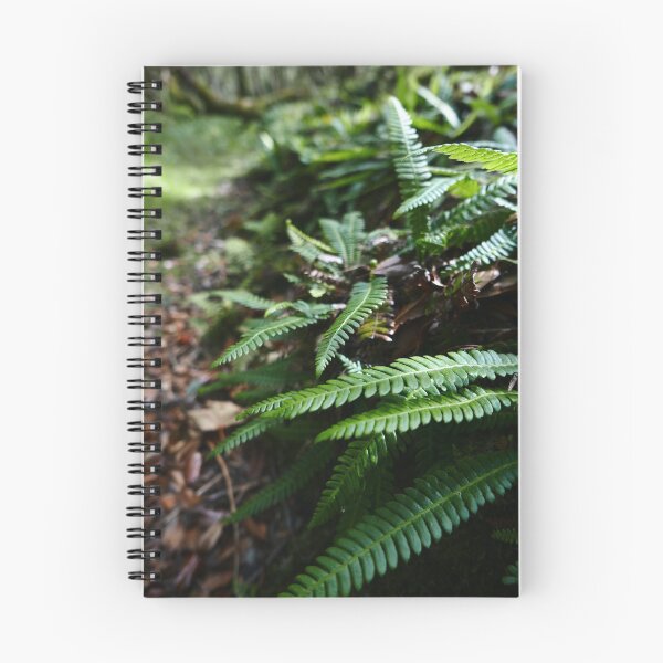 Item preview, Hard Fern (Blechnum spicant) designed and sold by IOMWildFlowers.