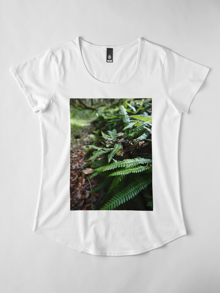 Alternate view of Hard Fern (Blechnum spicant) Premium Scoop T-Shirt
