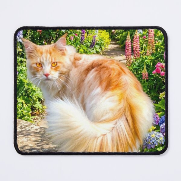 Item preview, Pretty kitty designed and sold by missmoneypenny.