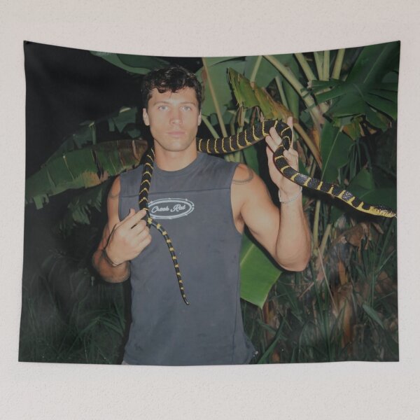 Item preview, Rob Rausch  designed and sold by Aileenl07.