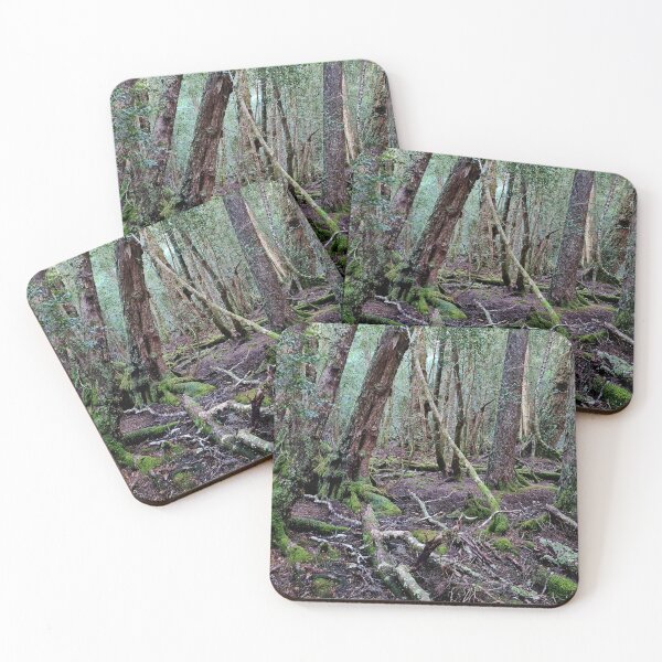 Item preview, Temperate rainforest designed and sold by DanLeutton.