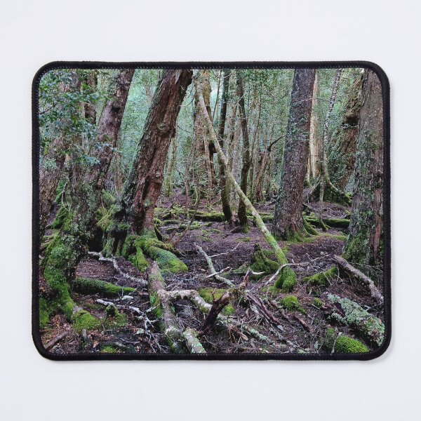 Item preview, Temperate rainforest designed and sold by DanLeutton.