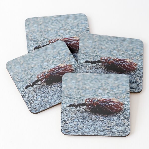 Item preview, Ant pulling sultana designed and sold by DanLeutton.