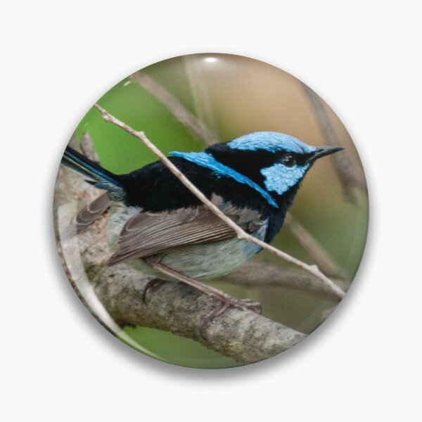 Item preview, Superb Fairy Wren III designed and sold by D-GaP.
