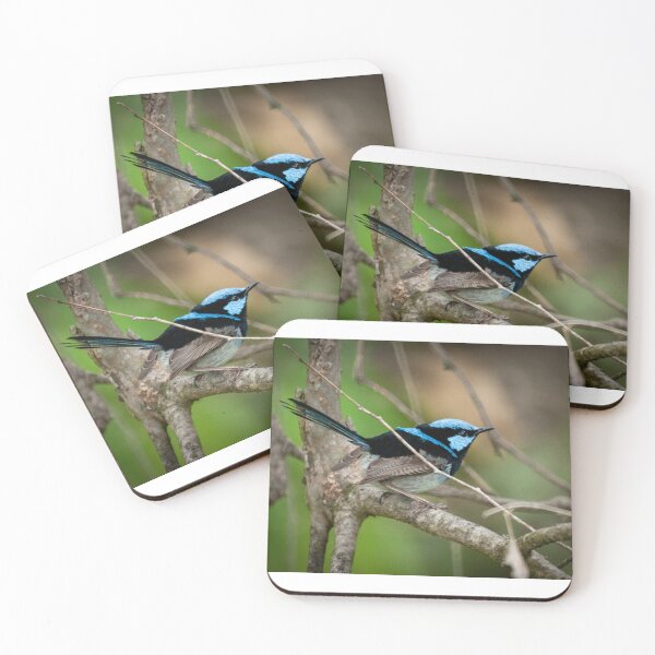 Item preview, Superb Fairy Wren III designed and sold by D-GaP.