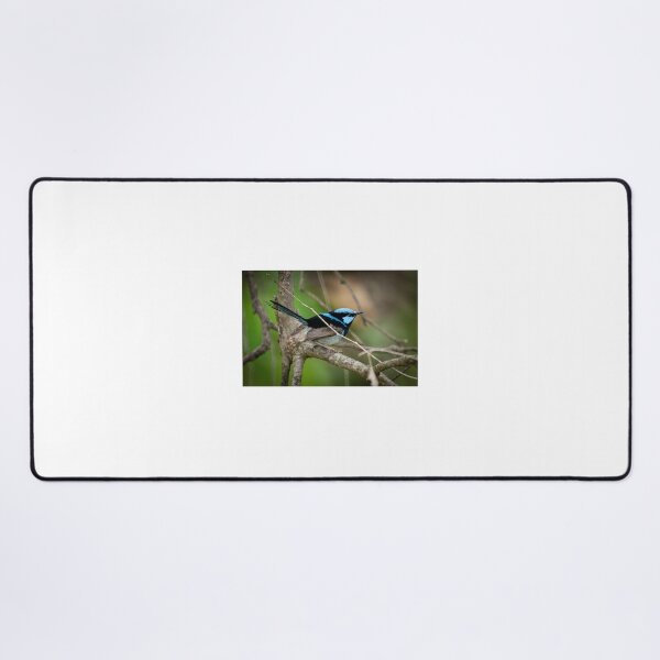 Item preview, Superb Fairy Wren III designed and sold by D-GaP.