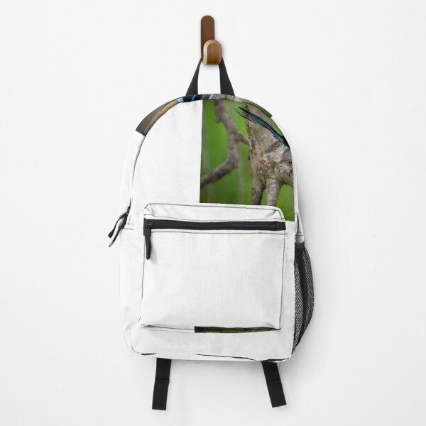 Item preview, Superb Fairy Wren III designed and sold by D-GaP.