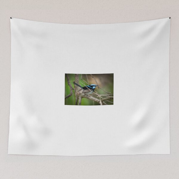 Item preview, Superb Fairy Wren III designed and sold by D-GaP.