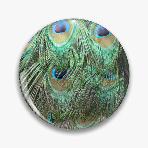 Item preview, Peacock Tail Feathers designed and sold by S-V-Photography.