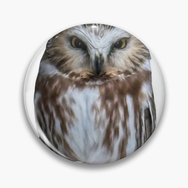 Item preview, Saw Whet Owl designed and sold by SilverLiningLab.