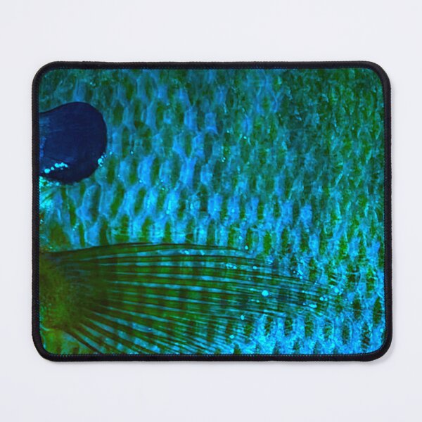Item preview, Aqua Bluegill Skin Pattern designed and sold by CJRPics.