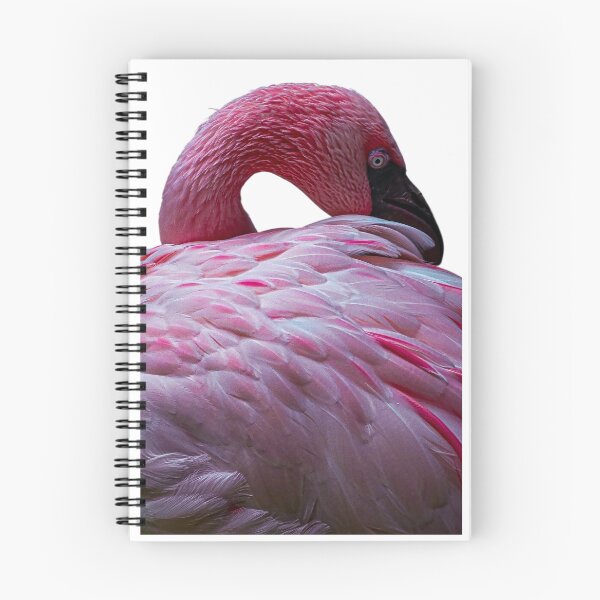 Item preview, Flamingo Dreams designed and sold by SilverLiningLab.