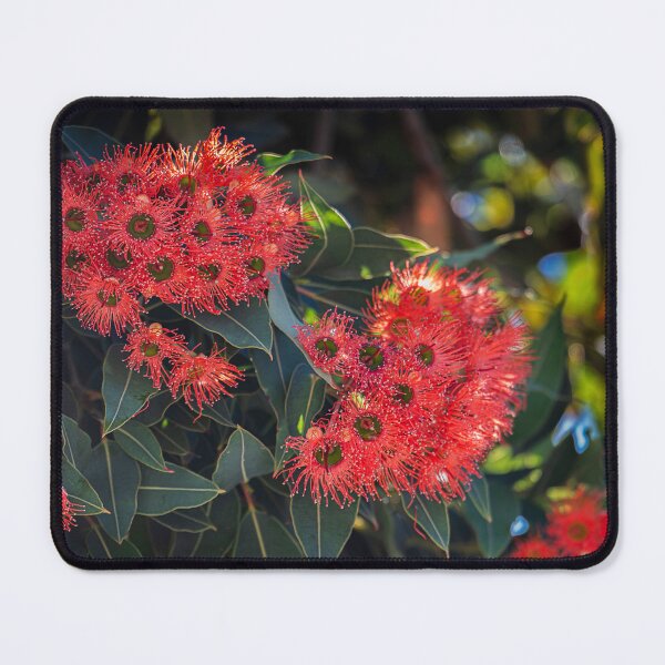 Item preview, Australian Blossom designed and sold by Bevlyn.