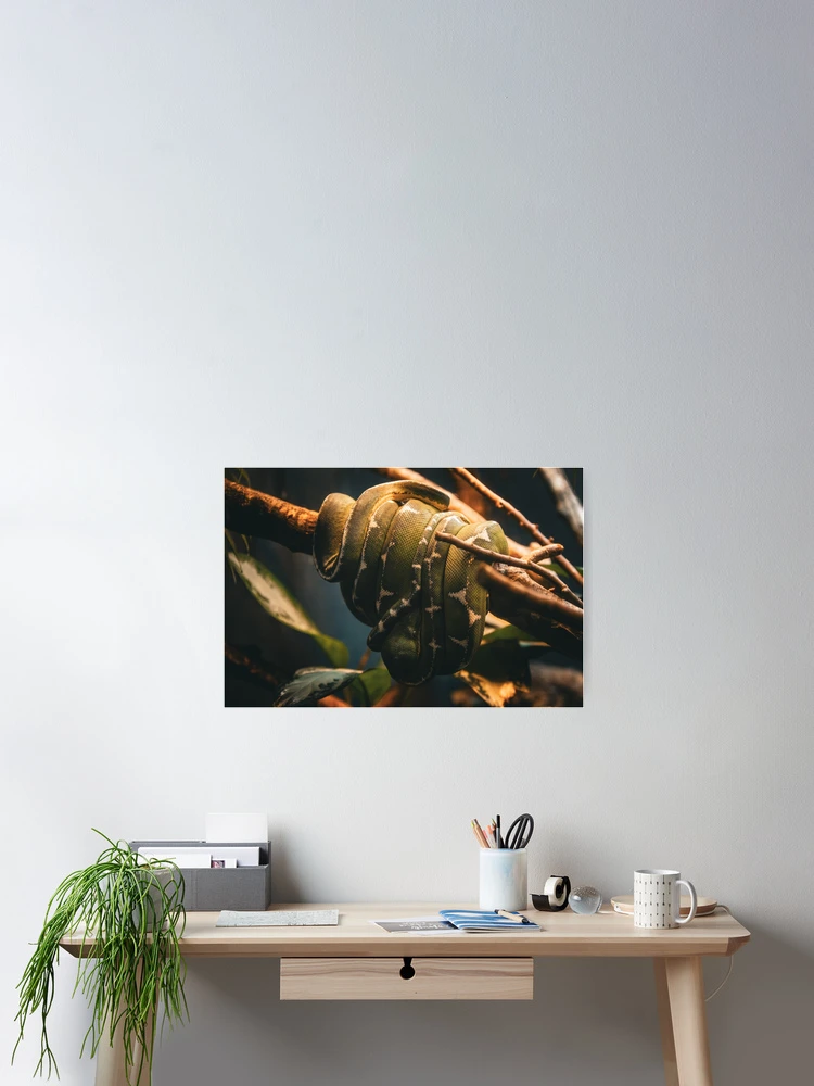 Aperçu 2 sur 3. Poster avec l'œuvre Python créée et vendue par DoubleDownRB.
