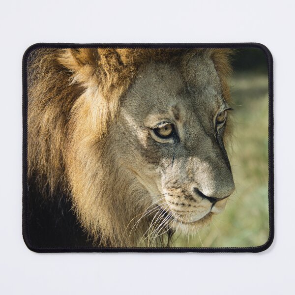 Item preview, Lion Eyes designed and sold by DoubleDownRB.