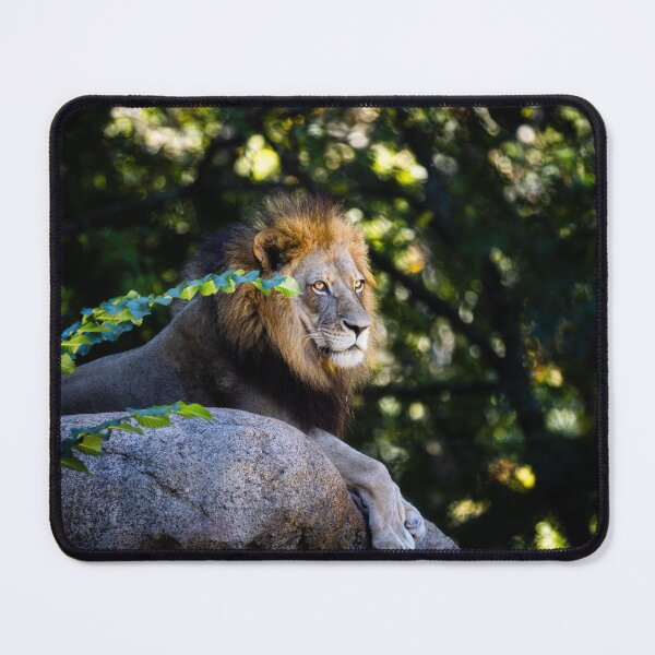 Item preview, Lion Laying designed and sold by DoubleDownRB.