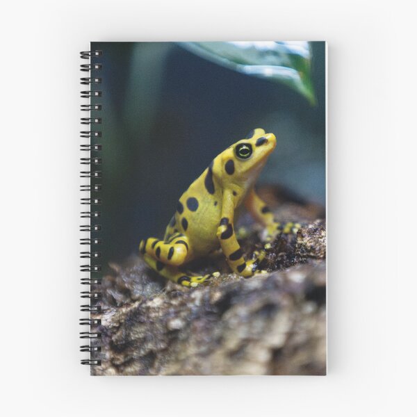 Item preview, Poison Dart Frog designed and sold by DoubleDownRB.