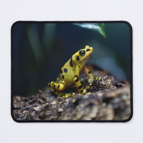 Item preview, Poison Dart Frog designed and sold by DoubleDownRB.
