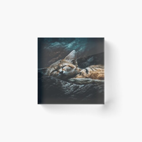 Item preview, Sleepy Kitty designed and sold by DoubleDownRB.