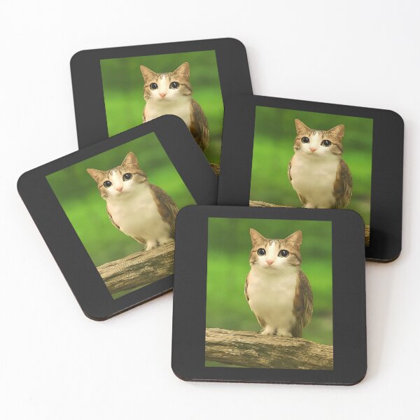 Item preview, Meowl Cat Owl, Funny Cat Meme, Cat Lover  designed and sold by FrankIsabel.