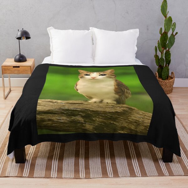 Item preview, Meowl Cat Owl, Funny Cat Meme, Cat Lover  designed and sold by FrankIsabel.
