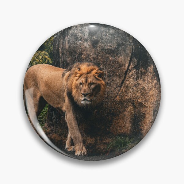 Item preview, Lion Walking designed and sold by DoubleDownRB.