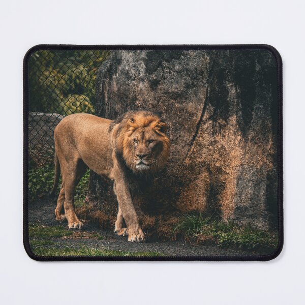 Item preview, Lion Walking designed and sold by DoubleDownRB.