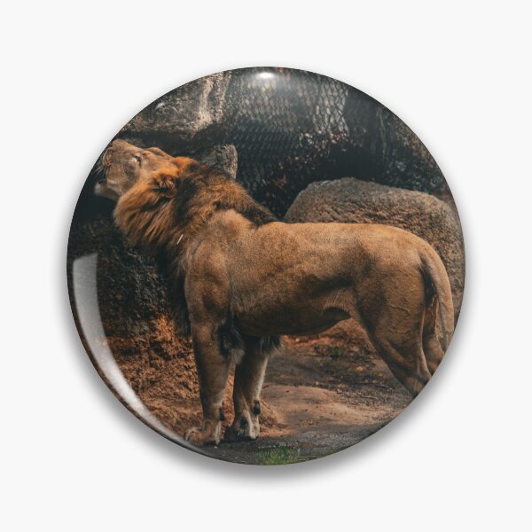 Item preview, Lion Roaring designed and sold by DoubleDownRB.