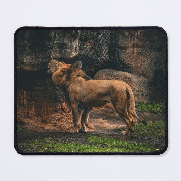Item preview, Lion Roaring designed and sold by DoubleDownRB.