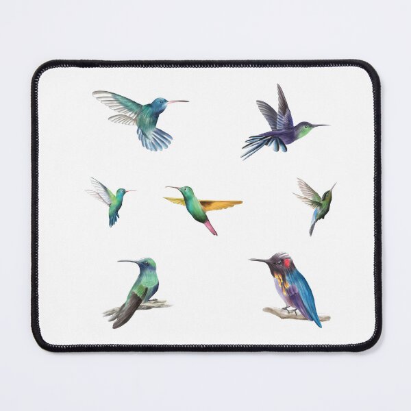 Item preview, Humming bird sticker pack designed and sold by darshants.