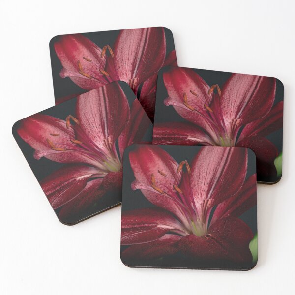 Item preview, Lily of the Orient designed and sold by Nicole_Munday_Photography.