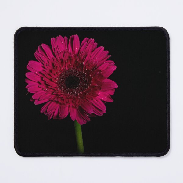 Item preview, Gerbera Daisy Days designed and sold by Nicole_Munday_Photography.