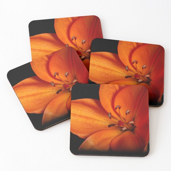 Item preview, Orange Lily of the Orient designed and sold by Nicole_Munday_Photography.