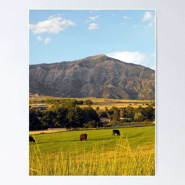Item preview, Below the Foothills of Mount Ben Lomond designed and sold by Jan  Tribe.